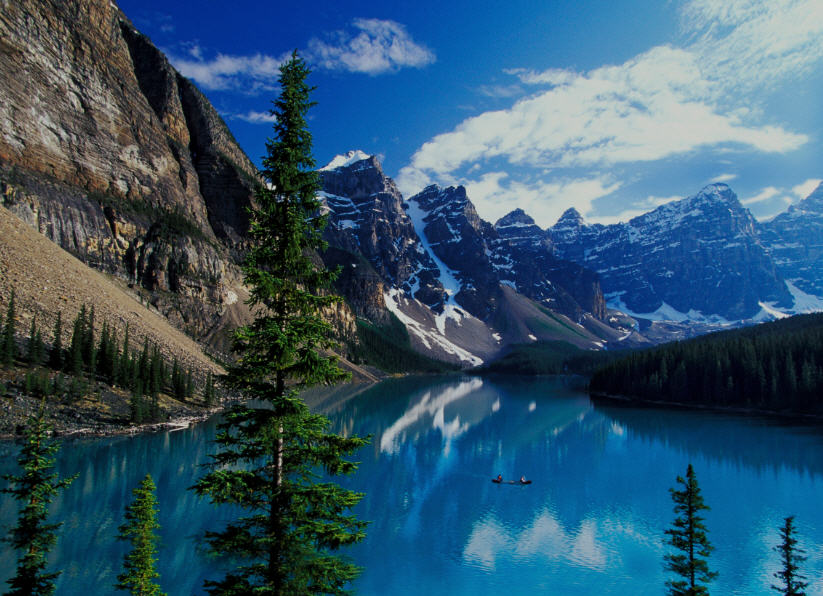 Vibrant wildflower meadow in Banff National Park, nestled amongst rugged mountains and a rushing river.