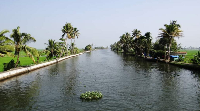 Panoramic view of the Kerala Backwaters, a network of lagoons and canals with villages nestled along the banks.