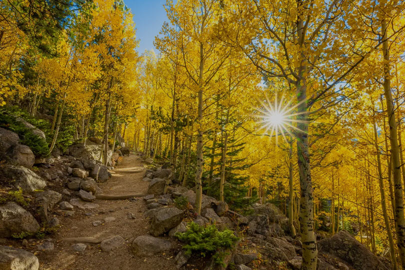 Sunset over Rocky Mountain National Park, casting a golden glow on snow-capped peaks and a lush valley.