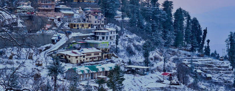 Shimla