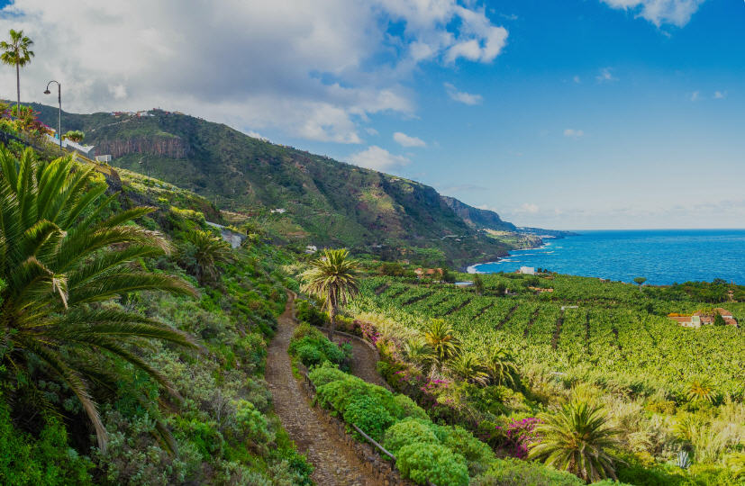 Sweeping view of Tenerife's coastline with black sand beaches, turquoise water, and coastal towns nestled against cliffs.