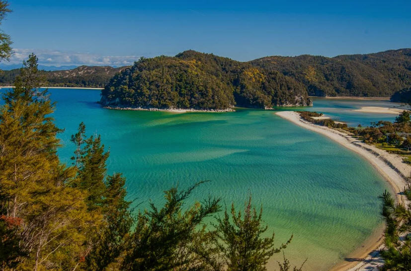 Golden sand beach in Abel Tasman National Park, New Zealand, with calm turquoise water, lush rainforest edging the shore, and granite rock formations.