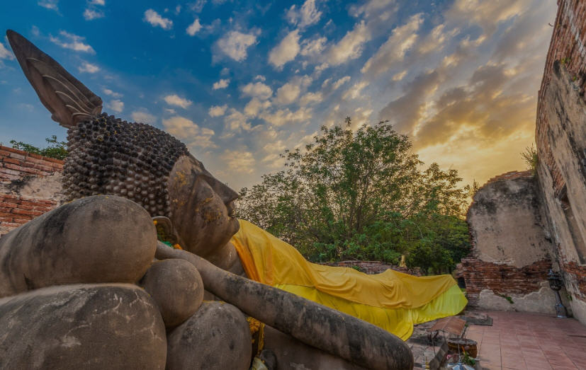 Ruins of the ancient city of Ayutthaya, Thailand, with crumbling temples, weathered statues, and lush vegetation.
