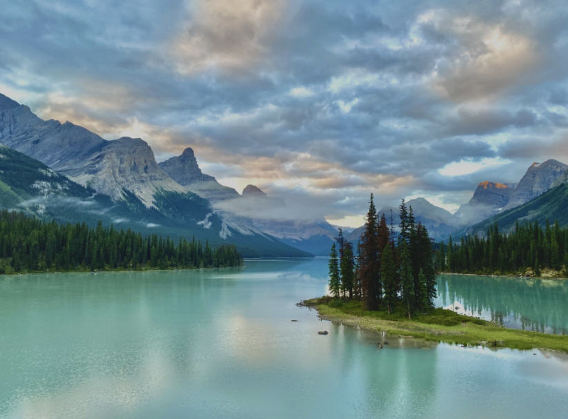 Close-up of Athabasca Falls in Jasper National Park, showcasing its powerful cascade surrounded by lush forest.